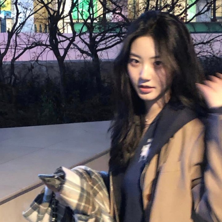 陆昭昭的刺客笔记